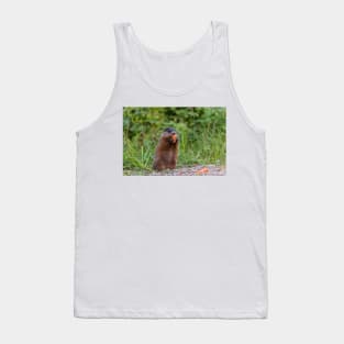 Beaver munching on a carrot Tank Top